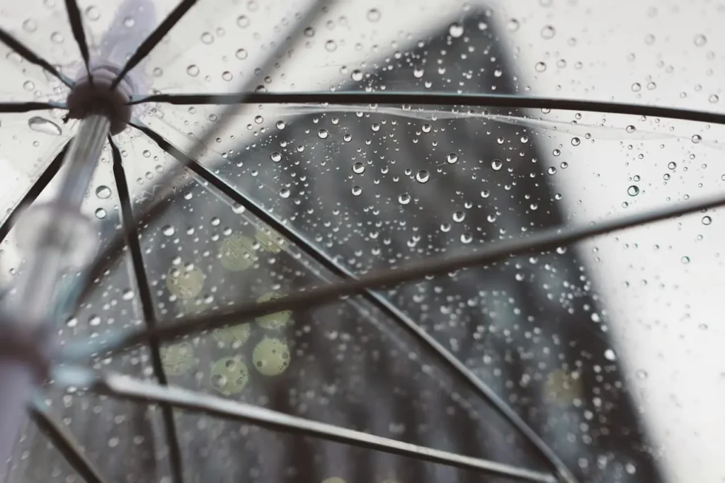 雨の日
